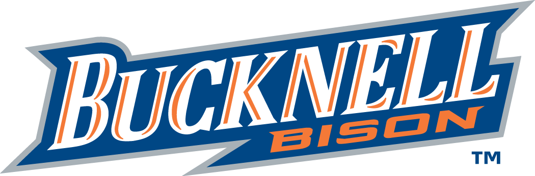 Bucknell Bison 2002-Pres Wordmark Logo v2 diy fabric transfer